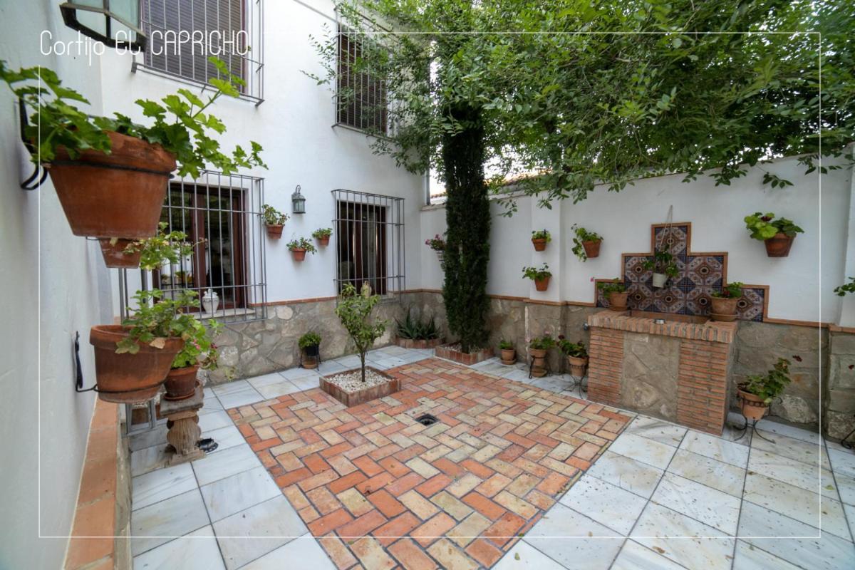 Cortijo El Segador Y El Capricho Βίλα Almedinilla Εξωτερικό φωτογραφία