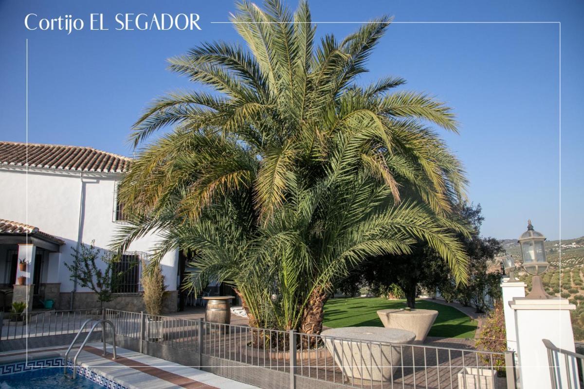 Cortijo El Segador Y El Capricho Βίλα Almedinilla Εξωτερικό φωτογραφία